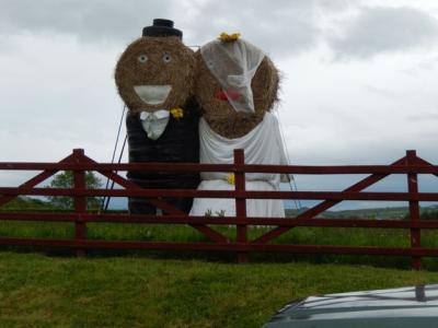 The Happy couple in the field next door