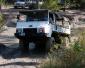 Texas Pinzgauer's picture